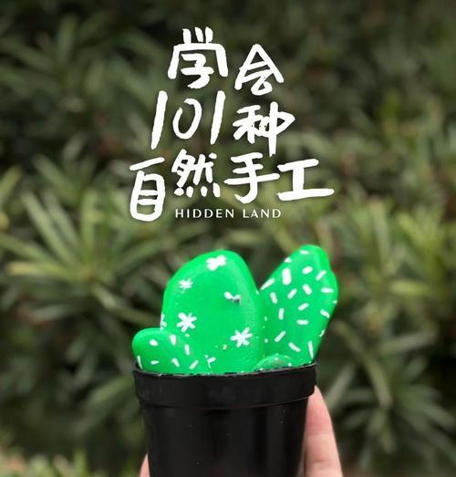 独刺仙人掌盆栽怎么种？有哪些步骤和技巧？
