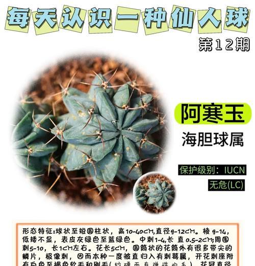 黄绿皮的仙人球怎么养护？有哪些特别的养护方法？