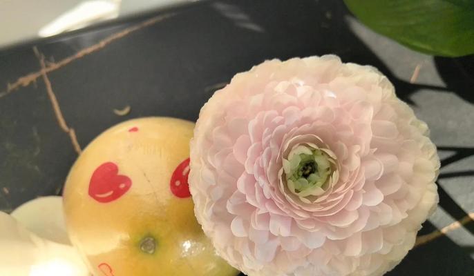 牡丹花冬季施肥的最佳方法是什么？