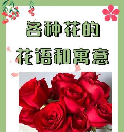 花卉大全及名称是什么？每种花卉的花语又代表什么？