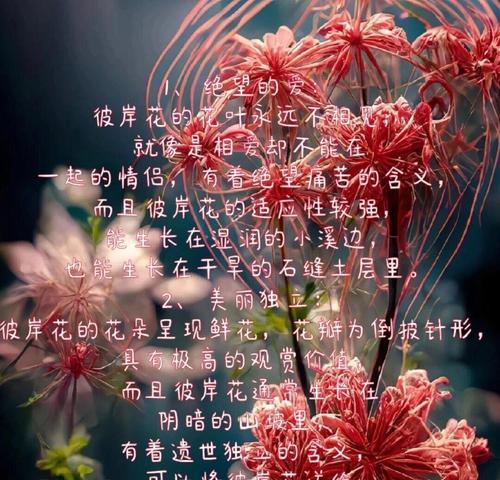 花卉大全及名称是什么？每种花卉的花语又代表什么？