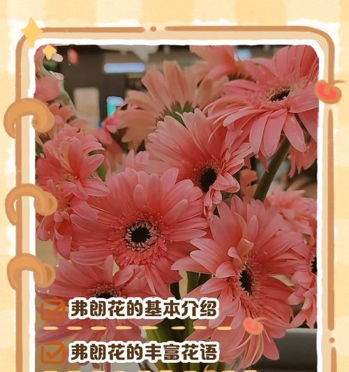 守护的植物花语有何含义？
