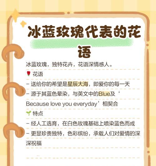 不同品种玫瑰的花语有何含义？