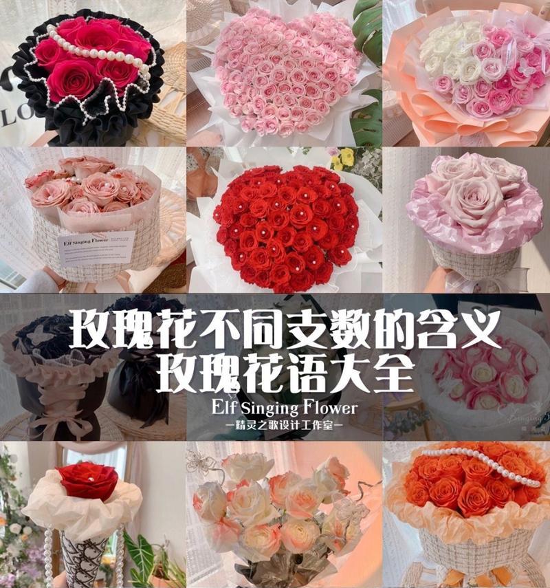 不同品种玫瑰的花语有何含义？