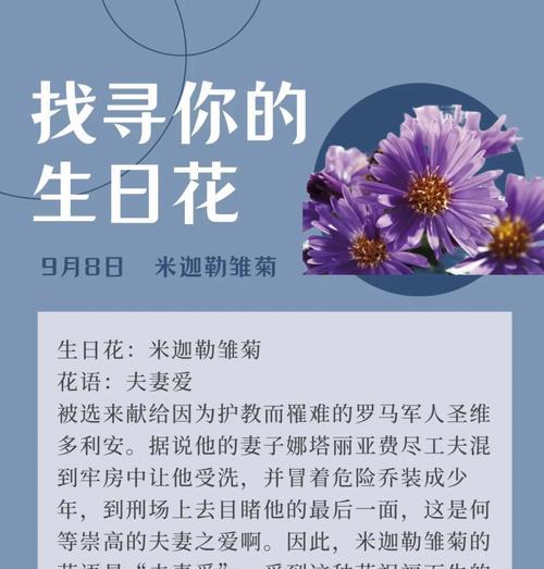 隐藏爱情的雏菊花语是什么？它有什么特别含义？