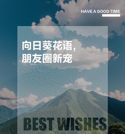 向阳花花语向上是什么？它如何象征积极向上？
