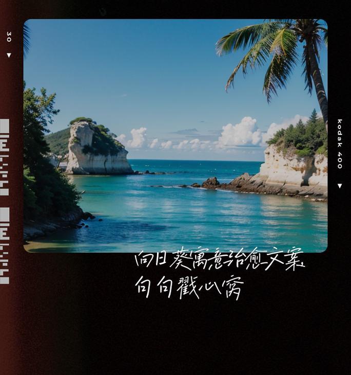 向阳花花语向上是什么？它如何象征积极向上？