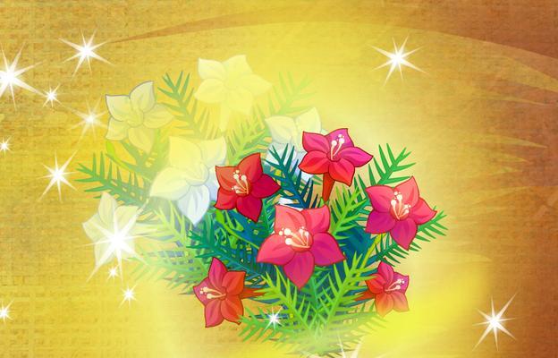 茑萝的花语传说是什么？它象征着什么？