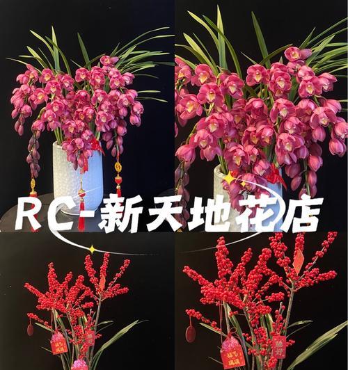 兰花亚麻花语6是什么？它代表了什么？
