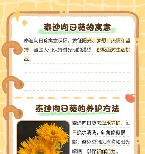 象征自信的花语有哪些？它们各自代表什么？