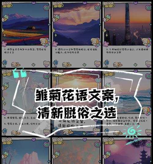 染色小雏菊花语有哪些特别之处？