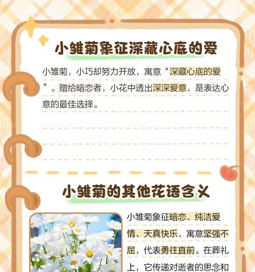 染色小雏菊花语有哪些特别之处？