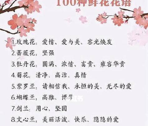 送朋友的花花语有哪些讲究？