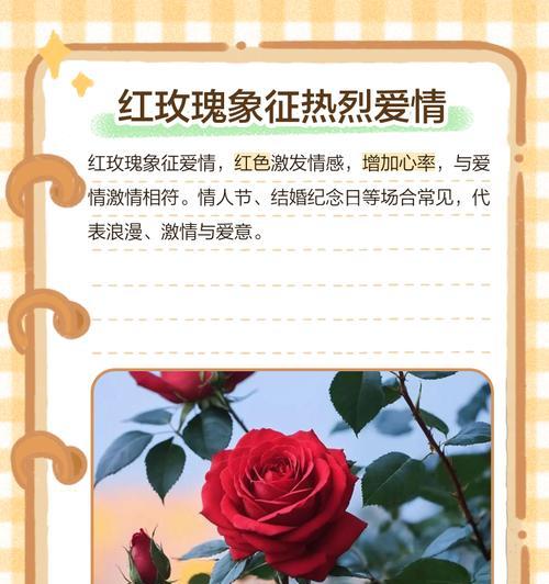 玫瑰花花语表白如何表达？哪种颜色最合适？