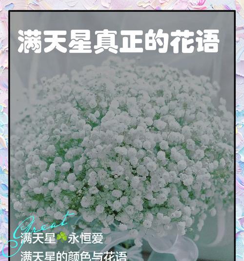 白白满天星花语是什么？它象征着什么？