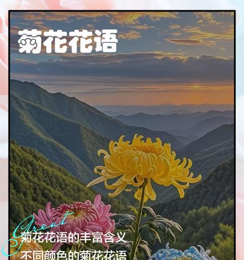 菊花的花语和意义有哪些？