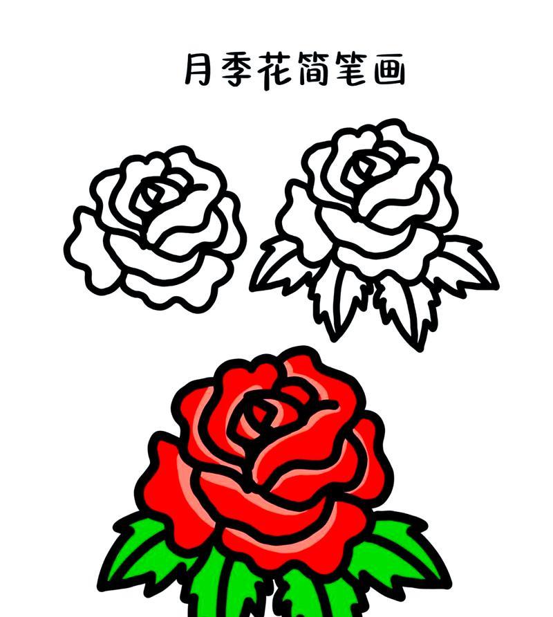 十二月每个月的花语分别是什么？