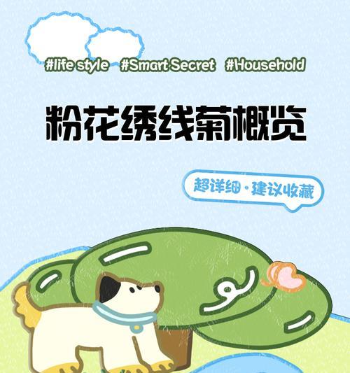 粉花绣线菊代表什么？它的花语有哪些含义？