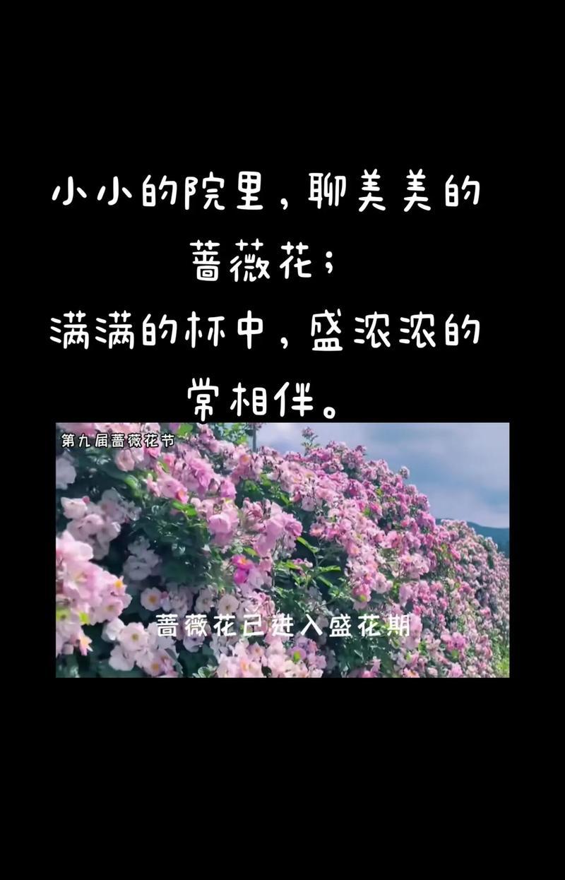 你花的花语是什么？它象征着生命的力量吗？