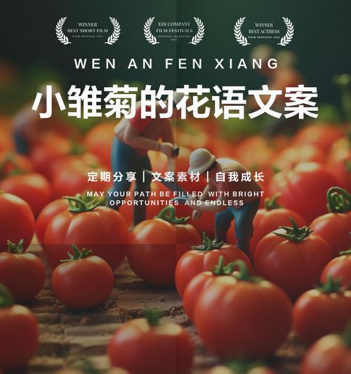 海盛小雏菊的花语是什么？它传递了哪些情感？