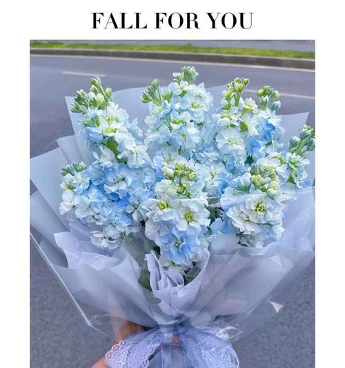 追求爱情的花语是什么？哪些花可以表达这种情感？