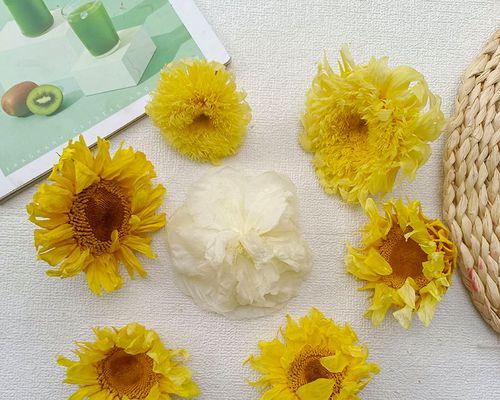 太阳花干花的花语有哪些含义？