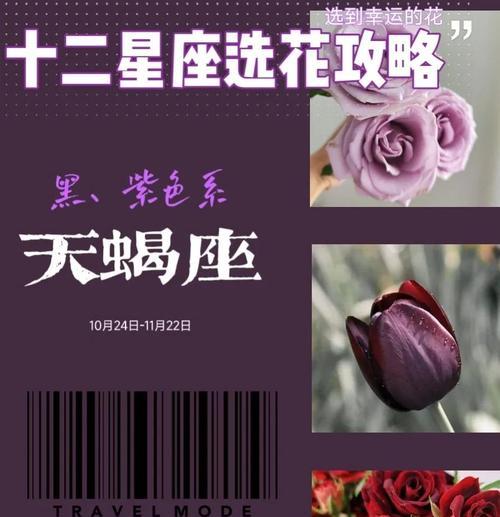 粉红水晶花的花语是什么？