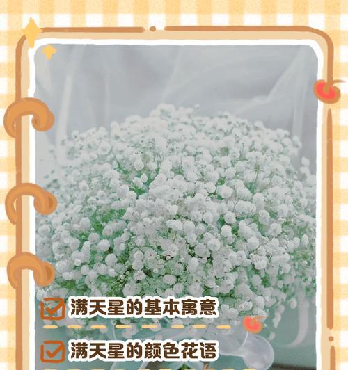 满天星和灯的花语是什么？如何搭配使用？