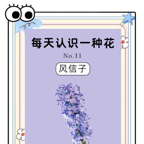 风信子的花语意思是什么？如何用风信子表达爱意？