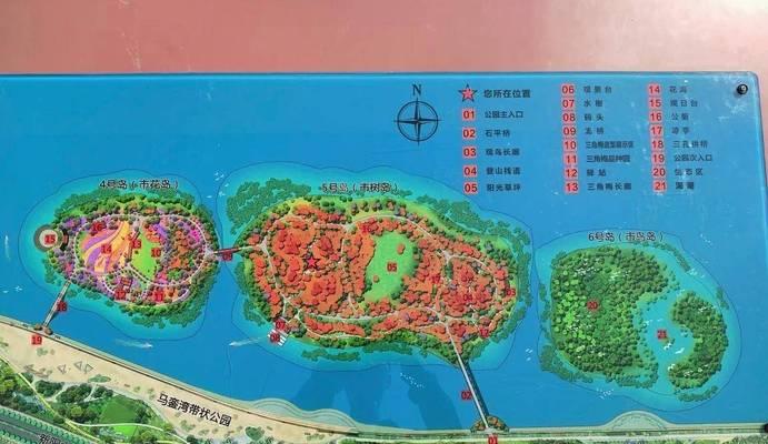 厦门市树的花语是什么？如何用厦门市树表达情感？