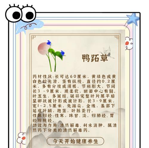 紫鸭趾草的花语是什么？如何用紫鸭趾草表达情感？