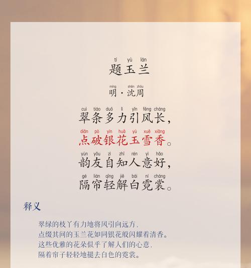 玉兰花的花语祝福是什么？如何用玉兰花表达爱意？