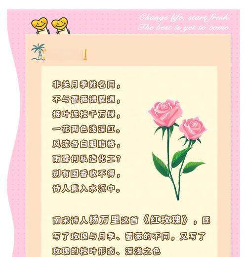 玫瑰花花朵的花语是什么？如何用玫瑰花表达爱意？