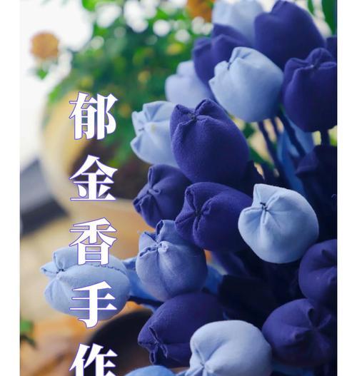 所有郁金香花语是什么？郁金香花语有哪些种类？