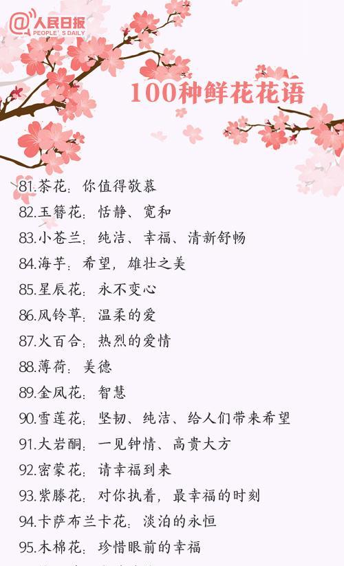 紫色君子兰花语是什么？紫色君子兰代表什么含义？