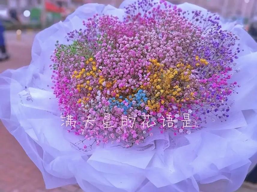 潍坊满天星花语是什么？有何特别含义？