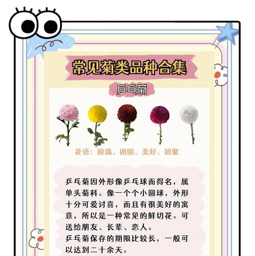 桔花花语代表什么？适合什么场合？