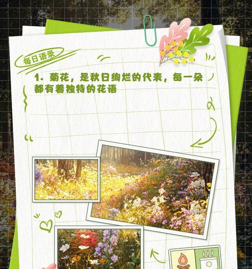 桔花花语代表什么？适合什么场合？