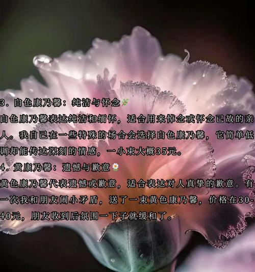 绿植花卉的花语有哪些？代表什么情感？