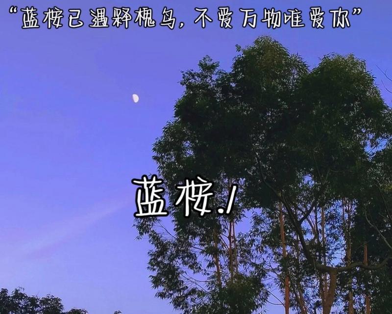 花语中“严格的树”有哪些？代表什么？