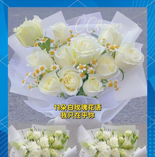 白玫瑰花语30是什么？有何特别含义？
