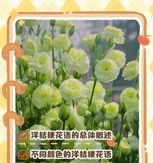 洋桔梗粉边的花语是什么？它有什么特别的含义？