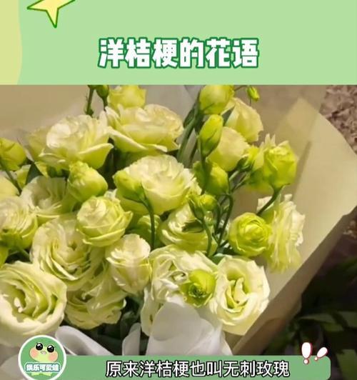 洋桔梗花的花语是什么？它有什么特别的含义？