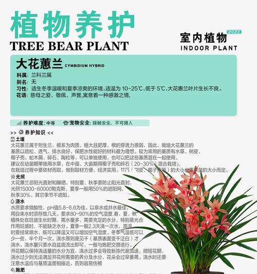 大花威灵仙的花语是什么？如何进行修剪以促进开花？
