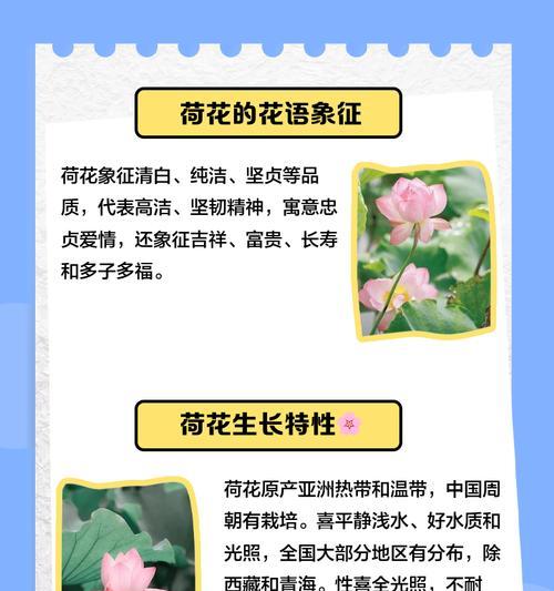 七月荷花的花语是什么？如何在池塘中种植荷花？
