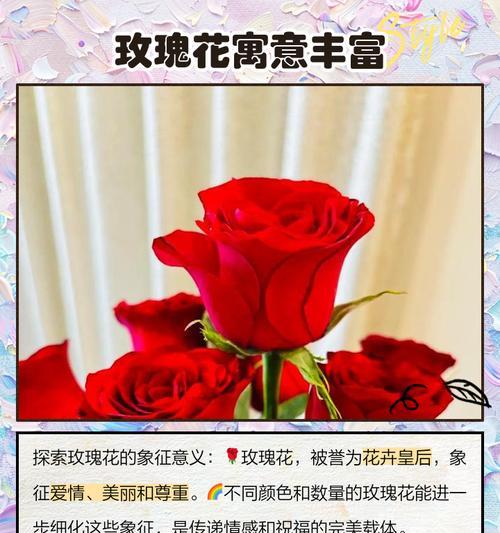 送玫瑰花的花语是什么？如何选择合适的玫瑰表达情感？
