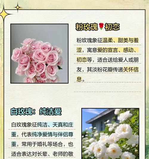 送玫瑰花的花语是什么？如何选择合适的玫瑰表达情感？