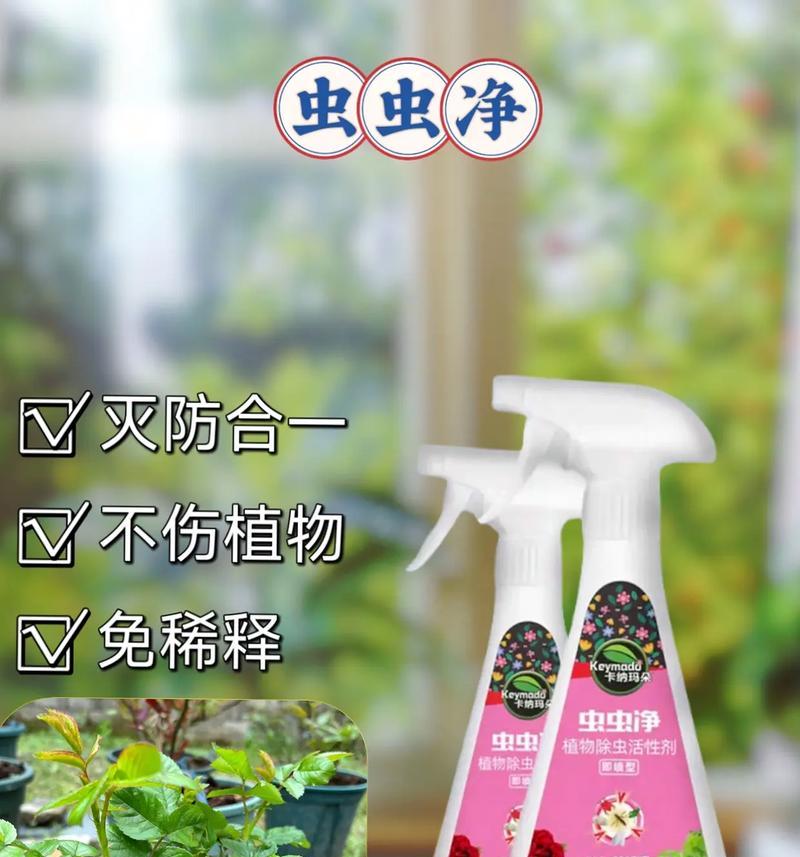 绿箩遇到虫害应该怎么办？