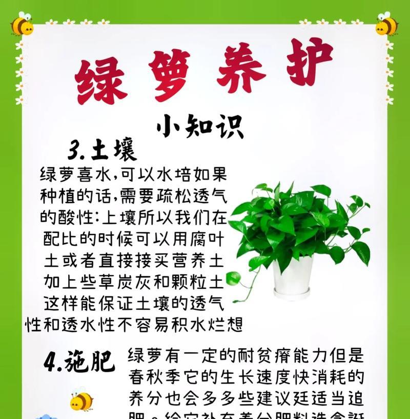 绿箩遇到虫害应该怎么办？