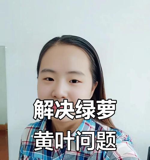 绿萝叶片黄化问题的解决方法？